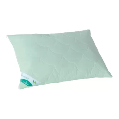 Perna Ortopedica Aloe Vera 60×40